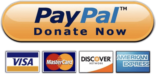 paypal donate now button